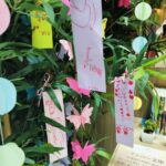 Tanabata2025-4 Tanabata2025-4