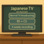 Upper Suites Japanese TV